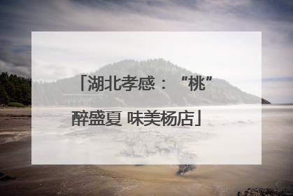 湖北孝感：“桃”醉盛夏 味美杨店