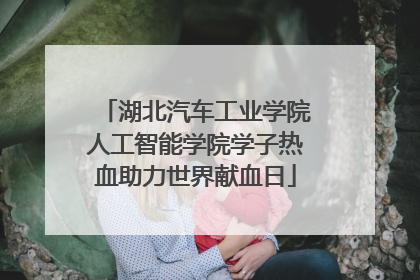 湖北汽车工业学院人工智能学院学子热血助力世界献血日