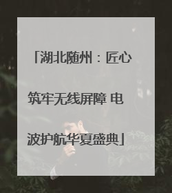 湖北随州：匠心筑牢无线屏障 电波护航华夏盛典