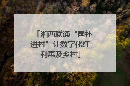 湘西联通“国补进村”让数字化红利惠及乡村
