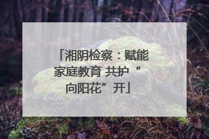 湘阴检察：赋能家庭教育 共护“向阳花”开