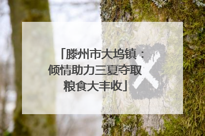 滕州市大坞镇：倾情助力三夏夺取粮食大丰收