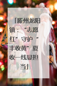 滕州龙阳镇：“志愿红”守护“丰收黄”夏收一线显担当