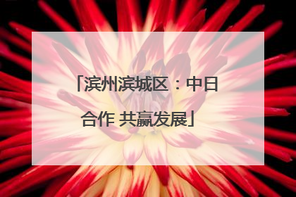滨州滨城区：中日合作 共赢发展