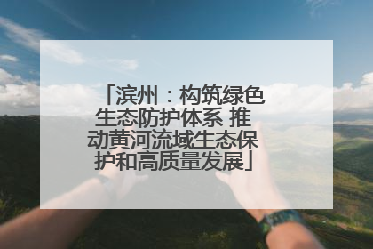 滨州：构筑绿色生态防护体系 推动黄河流域生态保护和高质量发展