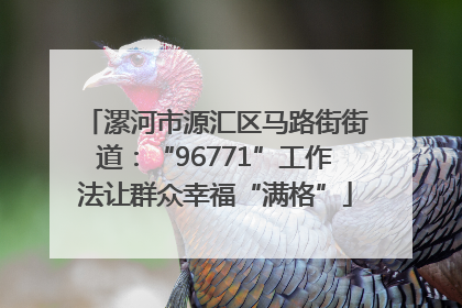 漯河市源汇区马路街街道：“96771”工作法让群众幸福“满格”