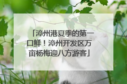 漳州港夏季的第一口鲜！漳州开发区万亩杨梅迎八方游客