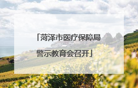 菏泽市医疗保障局警示教育会召开