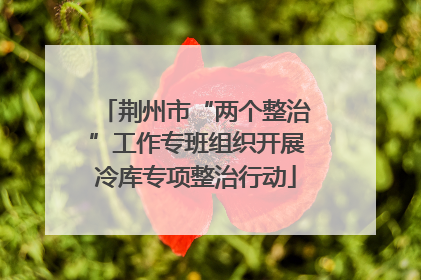 荆州市“两个整治”工作专班组织开展冷库专项整治行动