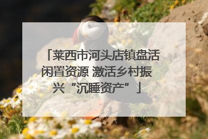 莱西市河头店镇盘活闲置资源 激活乡村振兴“沉睡资产”