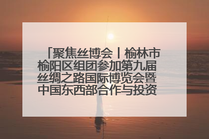 聚焦丝博会丨榆林市榆阳区组团参加第九届丝绸之路国际博览会暨中国东西部合作与投资贸易洽谈会