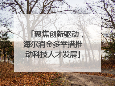 聚焦创新驱动，海尔消金多举措推动科技人才发展
