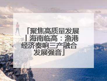 聚焦高质量发展丨海南临高：渔港经济奏响三产融合发展强音