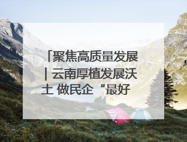 聚焦高质量发展｜云南厚植发展沃土 做民企“最好合伙人”