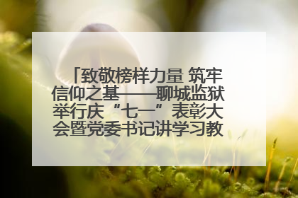 致敬榜样力量 筑牢信仰之基——聊城监狱举行庆“七一”表彰大会暨党委书记讲学习教育专题党课