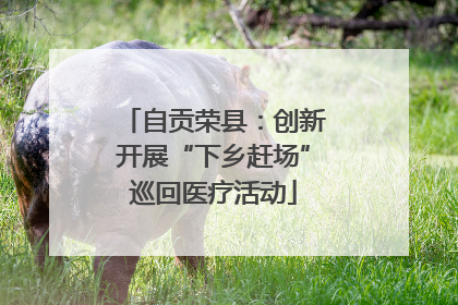 自贡荣县：创新开展“下乡赶场”巡回医疗活动