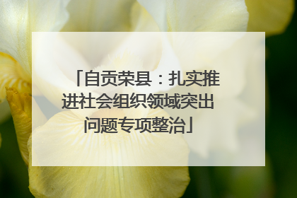 自贡荣县：扎实推进社会组织领域突出问题专项整治