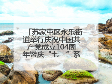 苏家屯区永乐街道举行庆祝中国共产党成立104周年暨庆“七一”系列活动