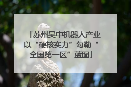苏州吴中机器人产业以“硬核实力”勾勒“全国第一区”蓝图