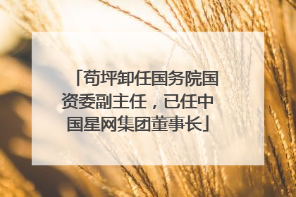 苟坪卸任国务院国资委副主任，已任中国星网集团董事长
