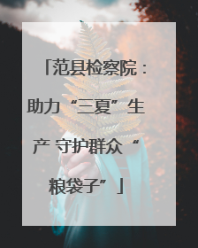 范县检察院：助力“三夏”生产 守护群众“粮袋子”