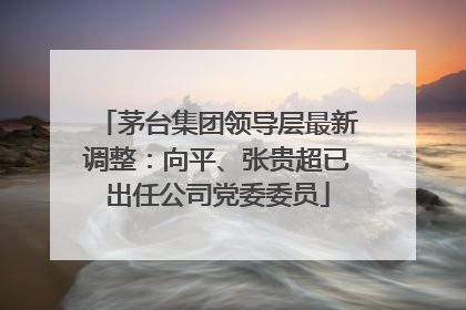 茅台集团领导层最新调整：向平、张贵超已出任公司党委委员
