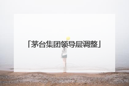 茅台集团领导层调整