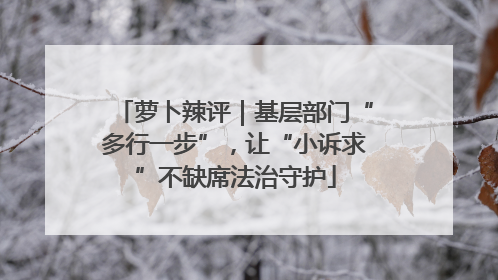 萝卜辣评｜基层部门“多行一步”，让“小诉求”不缺席法治守护