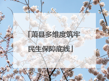 萧县多维度筑牢民生保障底线