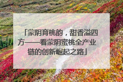 蒙阴育桃韵，甜香溢四方——看蒙阴蜜桃全产业链的创新崛起之路