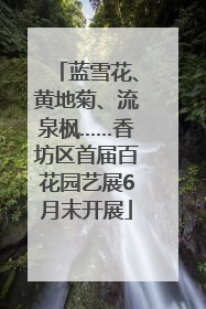 蓝雪花、黄地菊、流泉枫……香坊区首届百花园艺展6月末开展