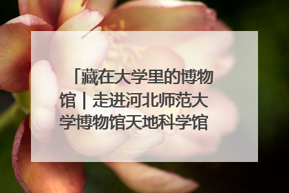藏在大学里的博物馆｜走进河北师范大学博物馆天地科学馆：在校园里赴一场“宇宙之约”