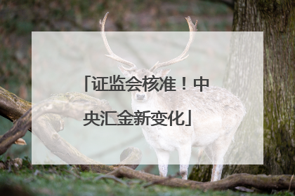 证监会核准！中央汇金新变化