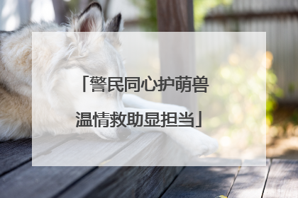 警民同心护萌兽 温情救助显担当