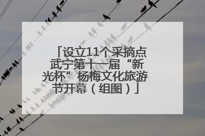 设立11个采摘点 武宁第十一届“新光杯”杨梅文化旅游节开幕（组图）