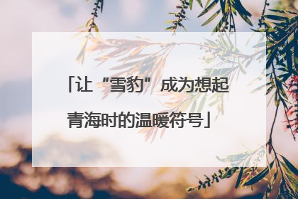 让“雪豹”成为想起青海时的温暖符号