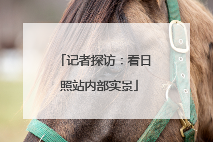 记者探访：看日照站内部实景