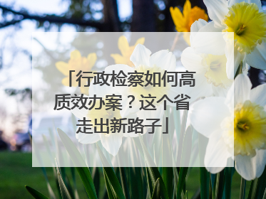 行政检察如何高质效办案？这个省走出新路子