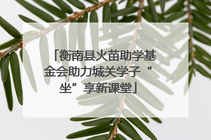 衡南县火苗助学基金会助力城关学子“坐”享新课堂