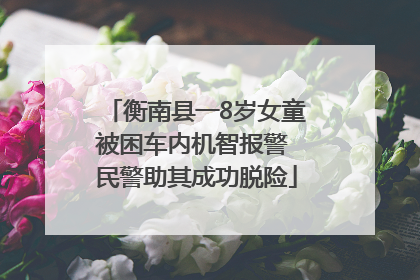 衡南县一8岁女童被困车内机智报警 民警助其成功脱险