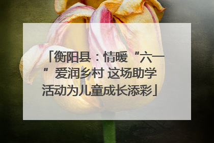衡阳县：情暖“六一”爱润乡村 这场助学活动为儿童成长添彩