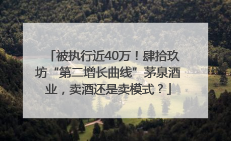 被执行近40万！肆拾玖坊“第二增长曲线”茅泉酒业，卖酒还是卖模式？