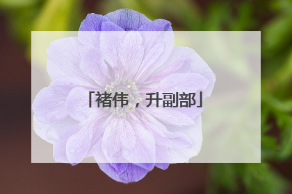 褚伟，升副部