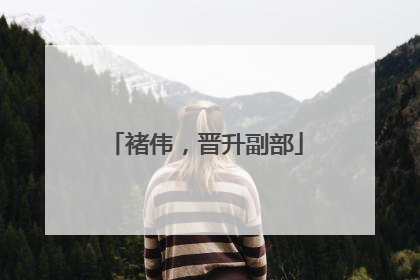 褚伟，晋升副部