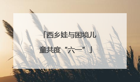 西乡娃与困境儿童共度“六一”