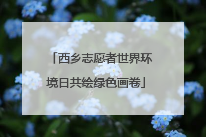 西乡志愿者世界环境日共绘绿色画卷