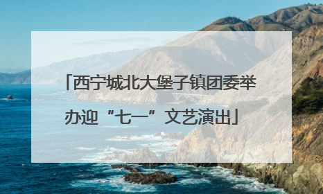 西宁城北大堡子镇团委举办迎“七一”文艺演出
