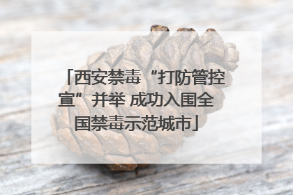 西安禁毒“打防管控宣”并举 成功入围全国禁毒示范城市