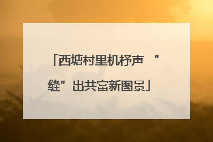 西塘村里机杼声 “缝”出共富新图景