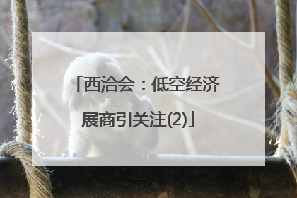 西洽会：低空经济展商引关注(2)